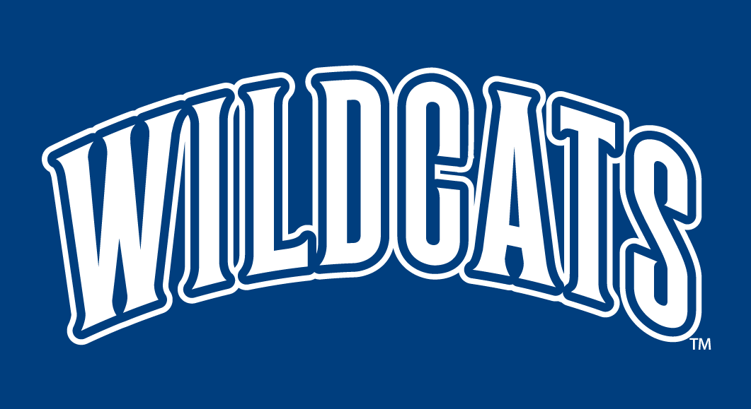 Villanova Wildcats 1996-Pres Wordmark Logo t shirts iron on transfers v2